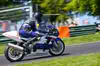 cadwell-no-limits-trackday;cadwell-park;cadwell-park-photographs;cadwell-trackday-photographs;enduro-digital-images;event-digital-images;eventdigitalimages;no-limits-trackdays;peter-wileman-photography;racing-digital-images;trackday-digital-images;trackday-photos